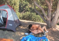 Rompiendo el cono en el bosque